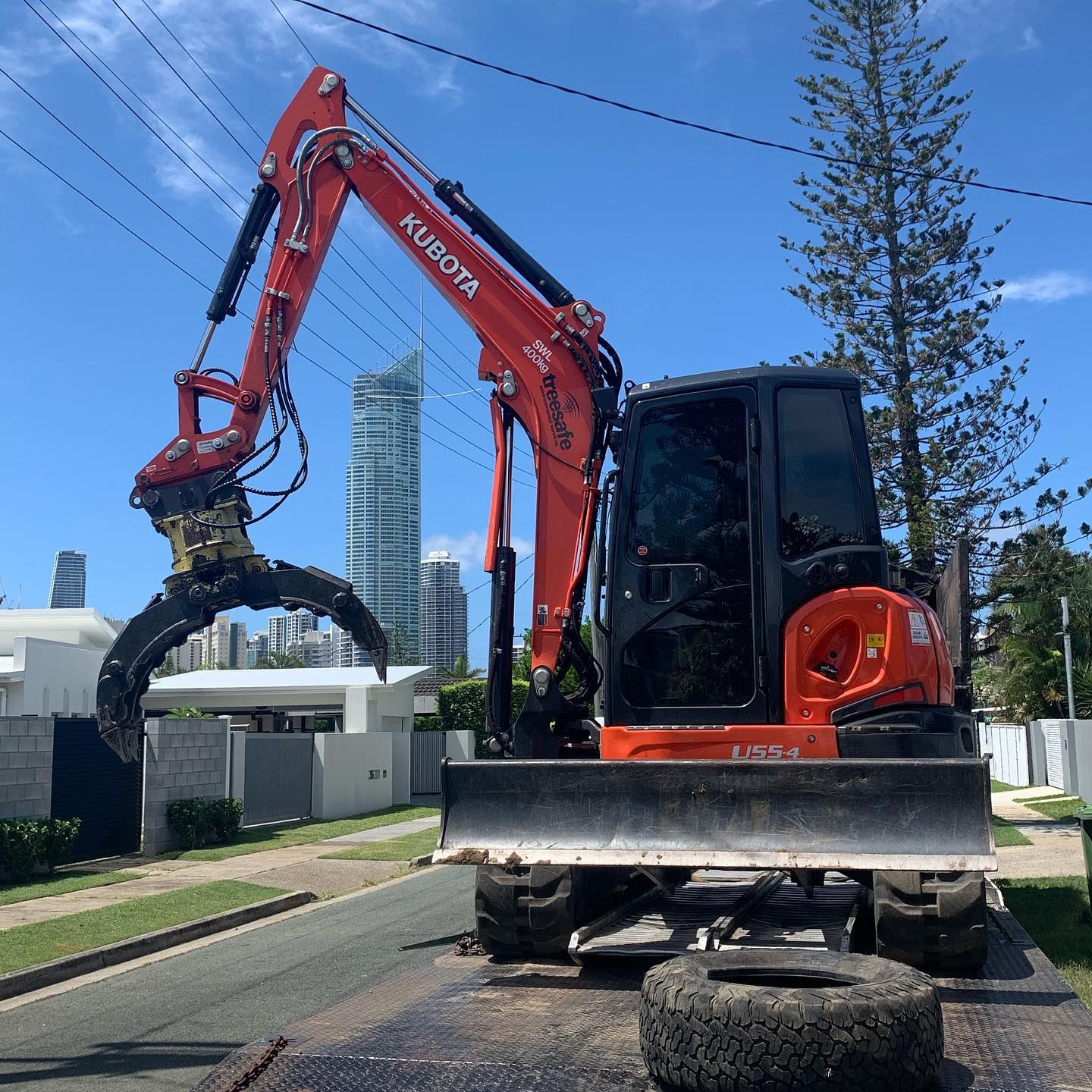 Commercial Arborists Brisbane Southside