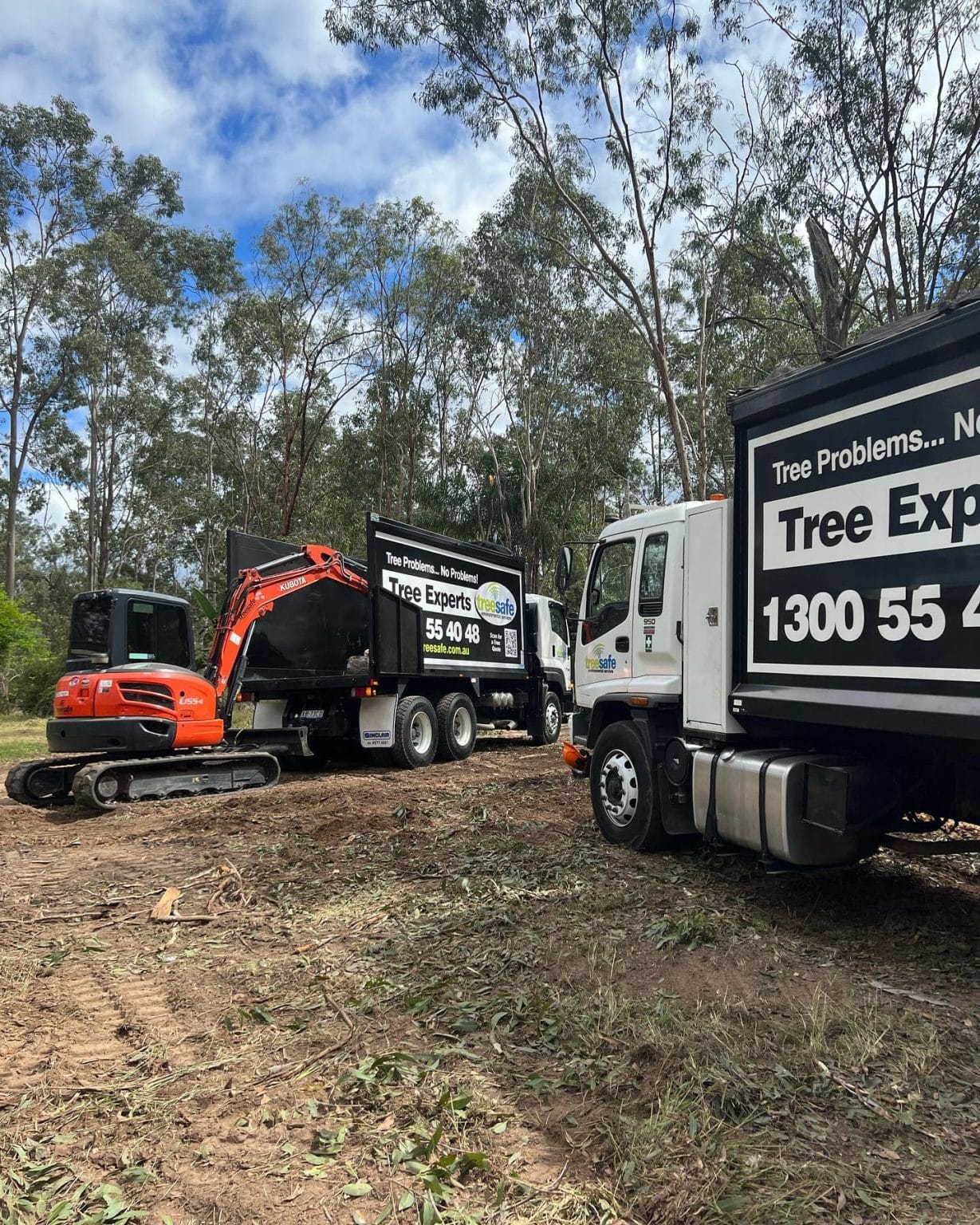 Tree Removal Brisbane Southside – Treesafe Environmental Services