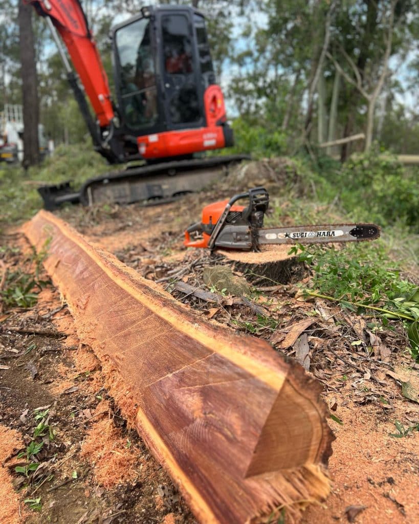 Stump Grinding Brisbane Southside