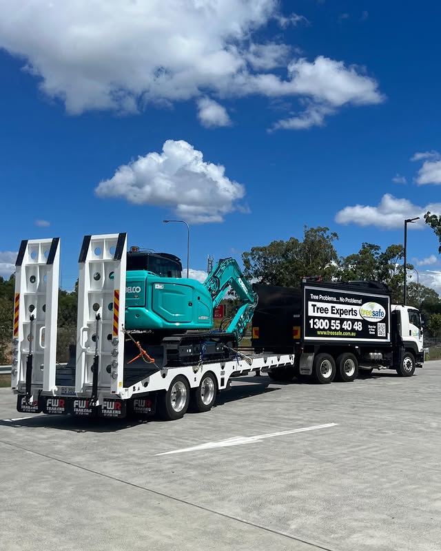 Commercial Arborists Brisbane Southside