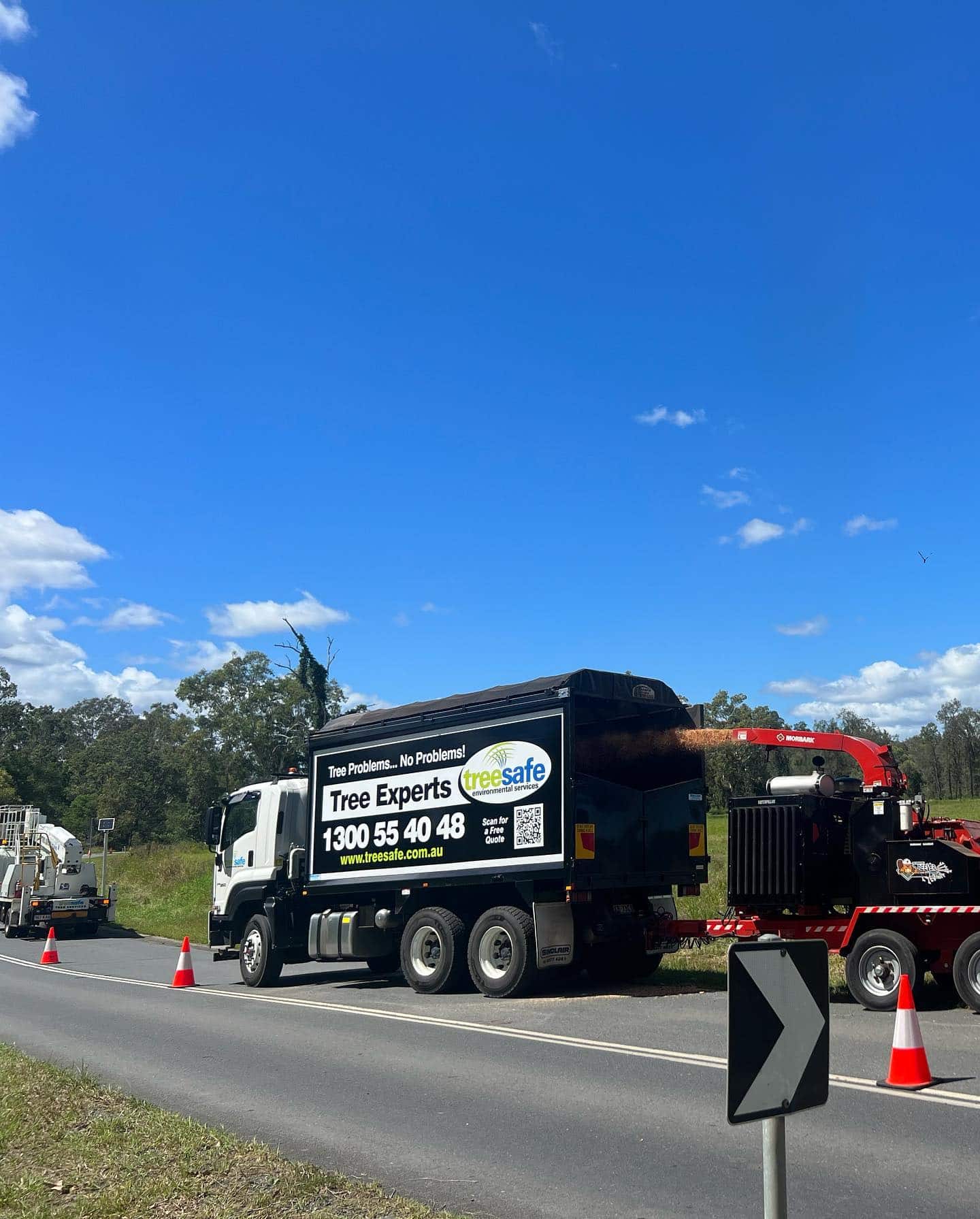 Arborist Jimboomba – Treesafe Environmental Services
