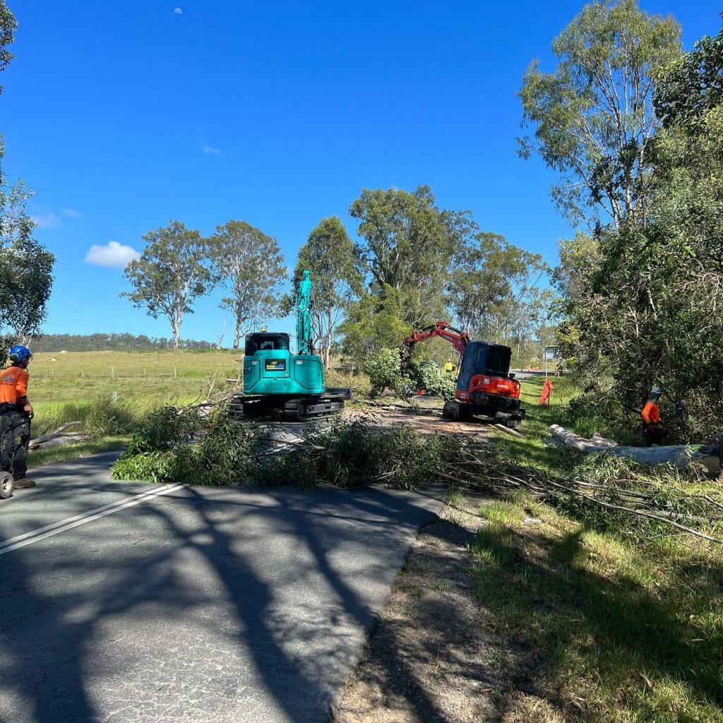 Tree Pruning Brisbane Southside – Treesafe Environmental Services