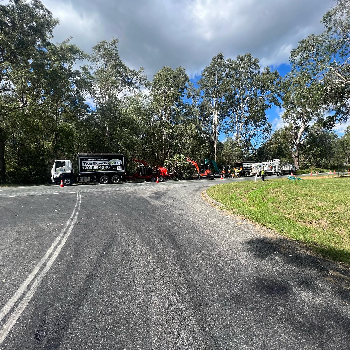 Commercial Arborist Brisbane Southside