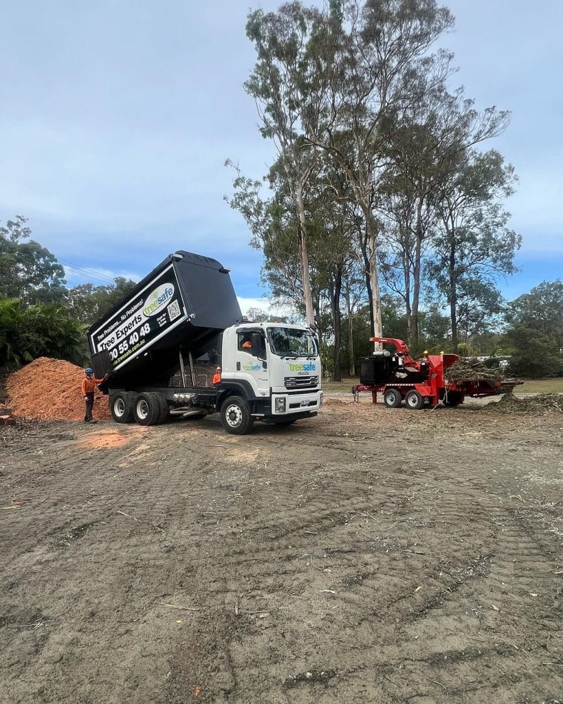 Land Clearing Brisbane Southside
