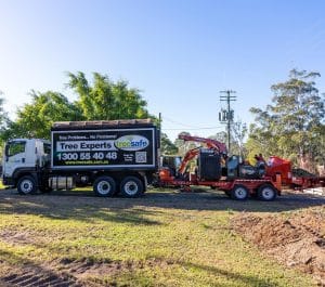 Tree Removal Brisbane Southside – Treesafe Environmental Services