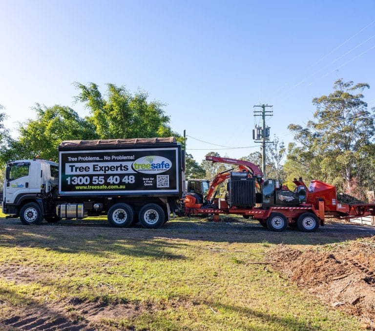Tree Removal Brisbane Southside – Treesafe Environmental Services