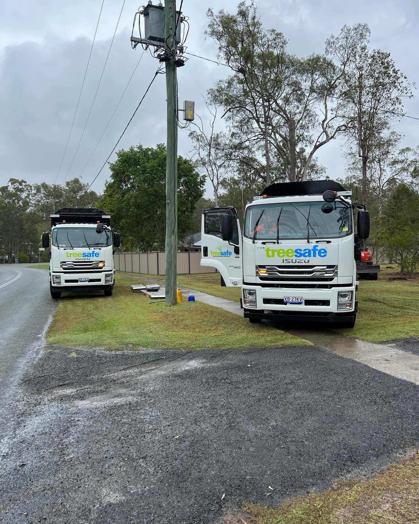Tree Lopping Brisbane Southside
