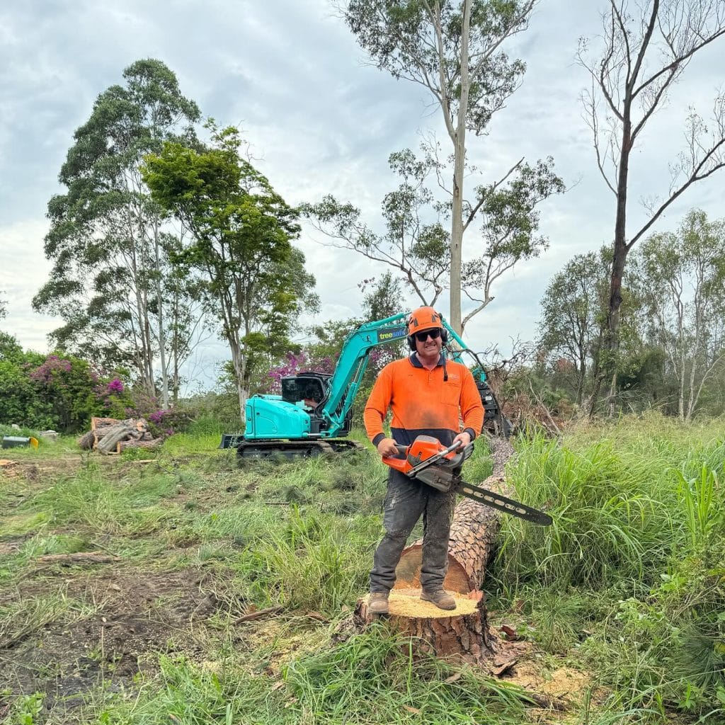 Land Clearing Brisbane Southside