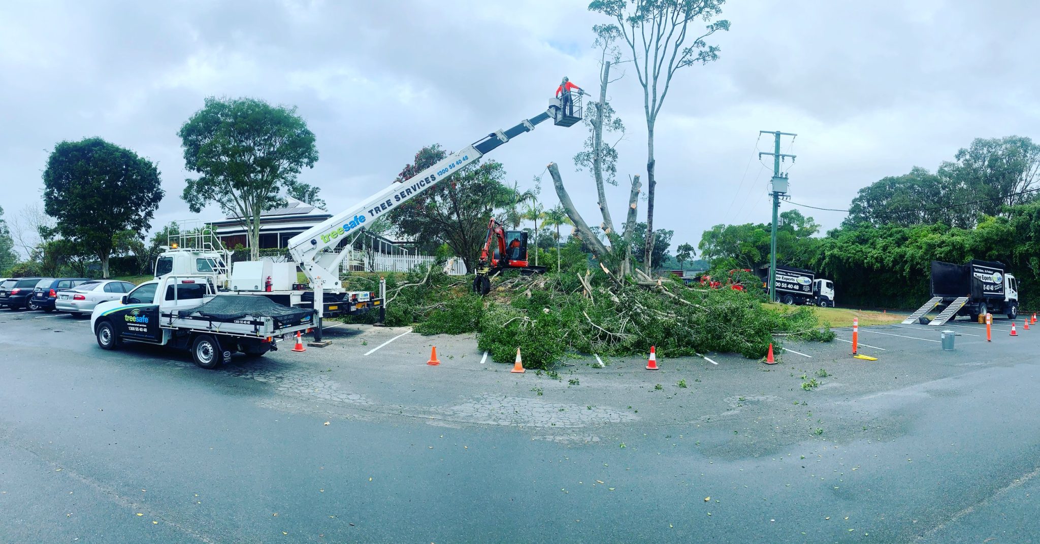 Tree Removal Brisbane Southside – Treesafe Environmental Services