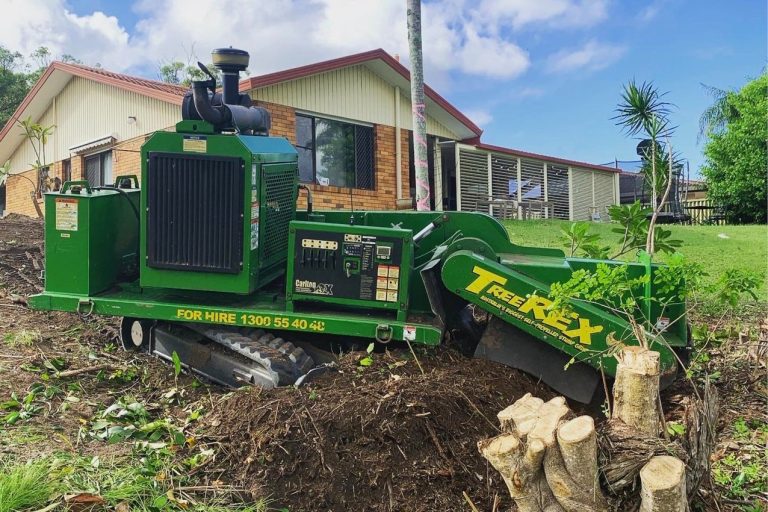 Tree Removal Brisbane Southside – Treesafe Environmental Services