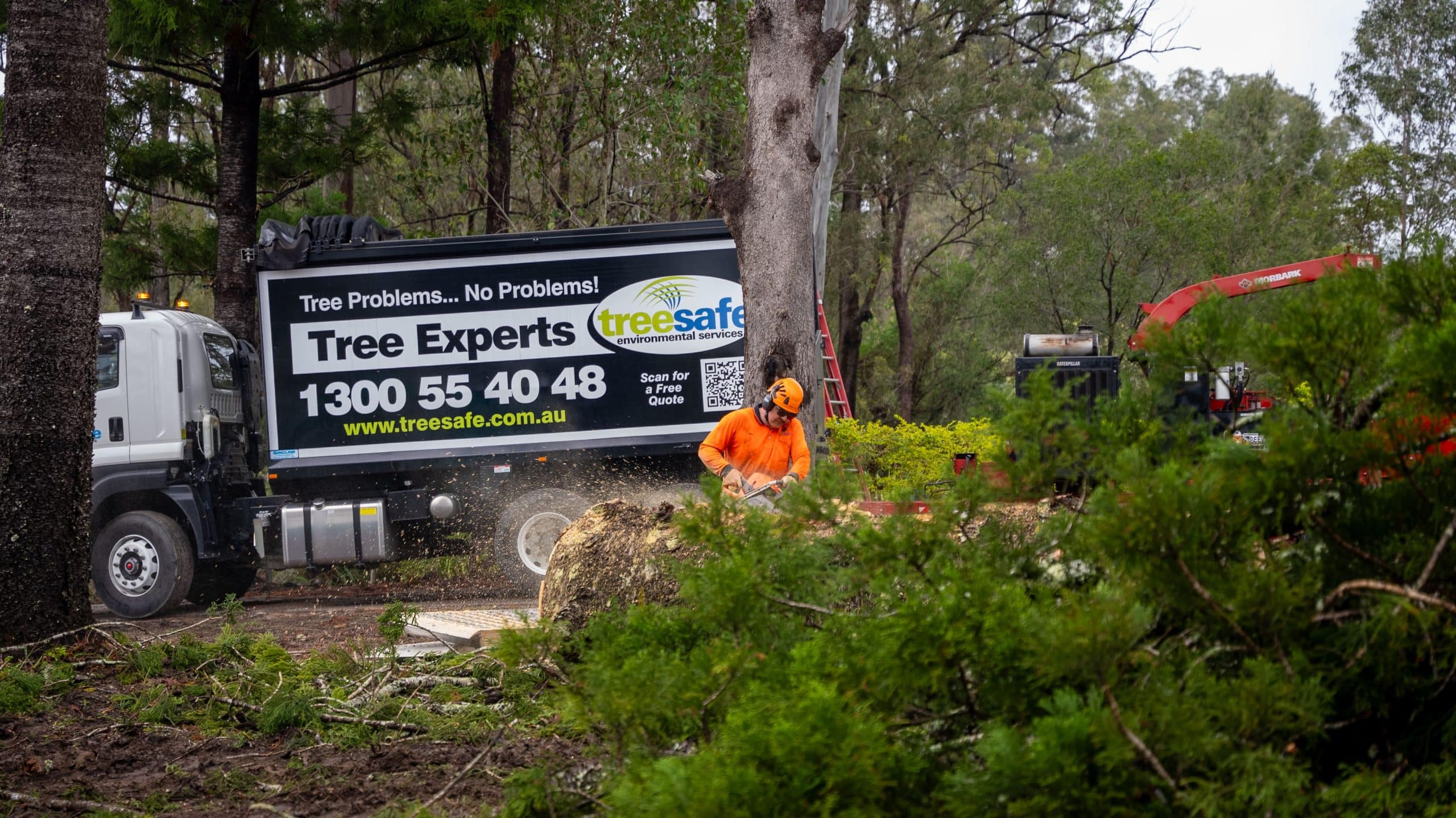Stump Grinding Gold Coast