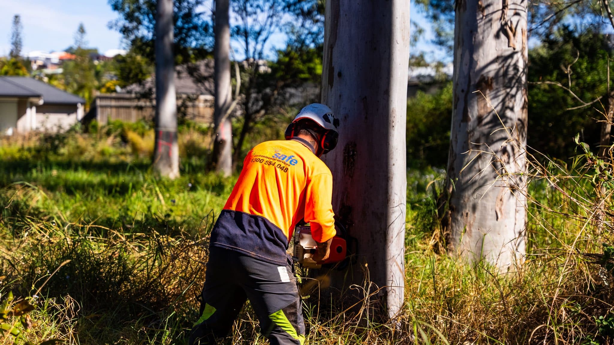 Tree Removal Brisbane Southside – Treesafe Environmental Services