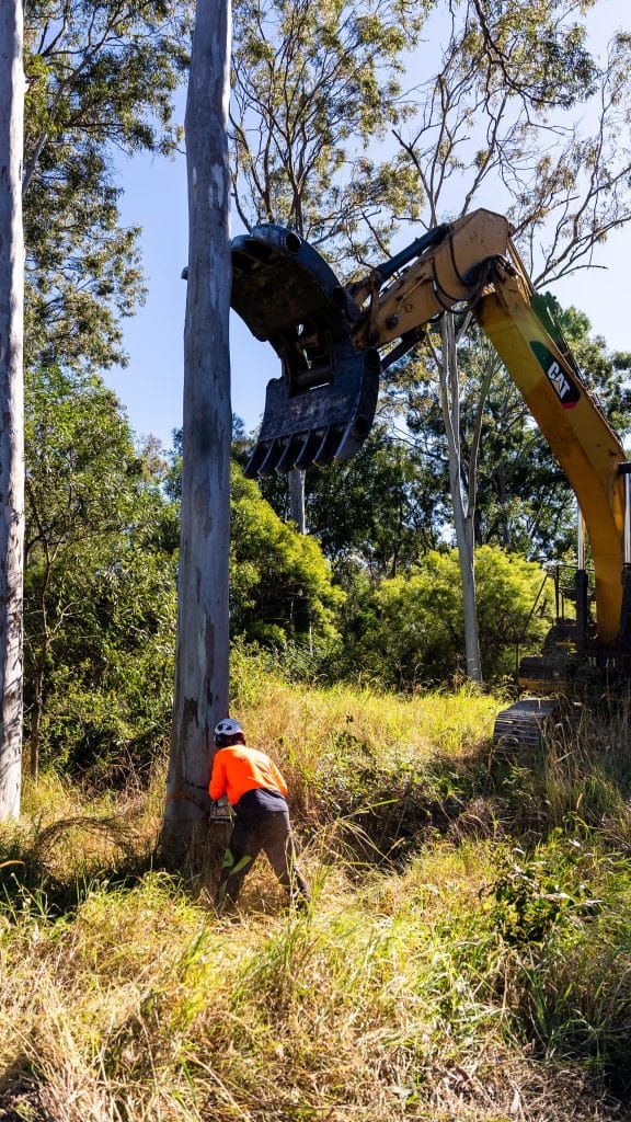 Treesafe Tree Removal Brisbane Southside
