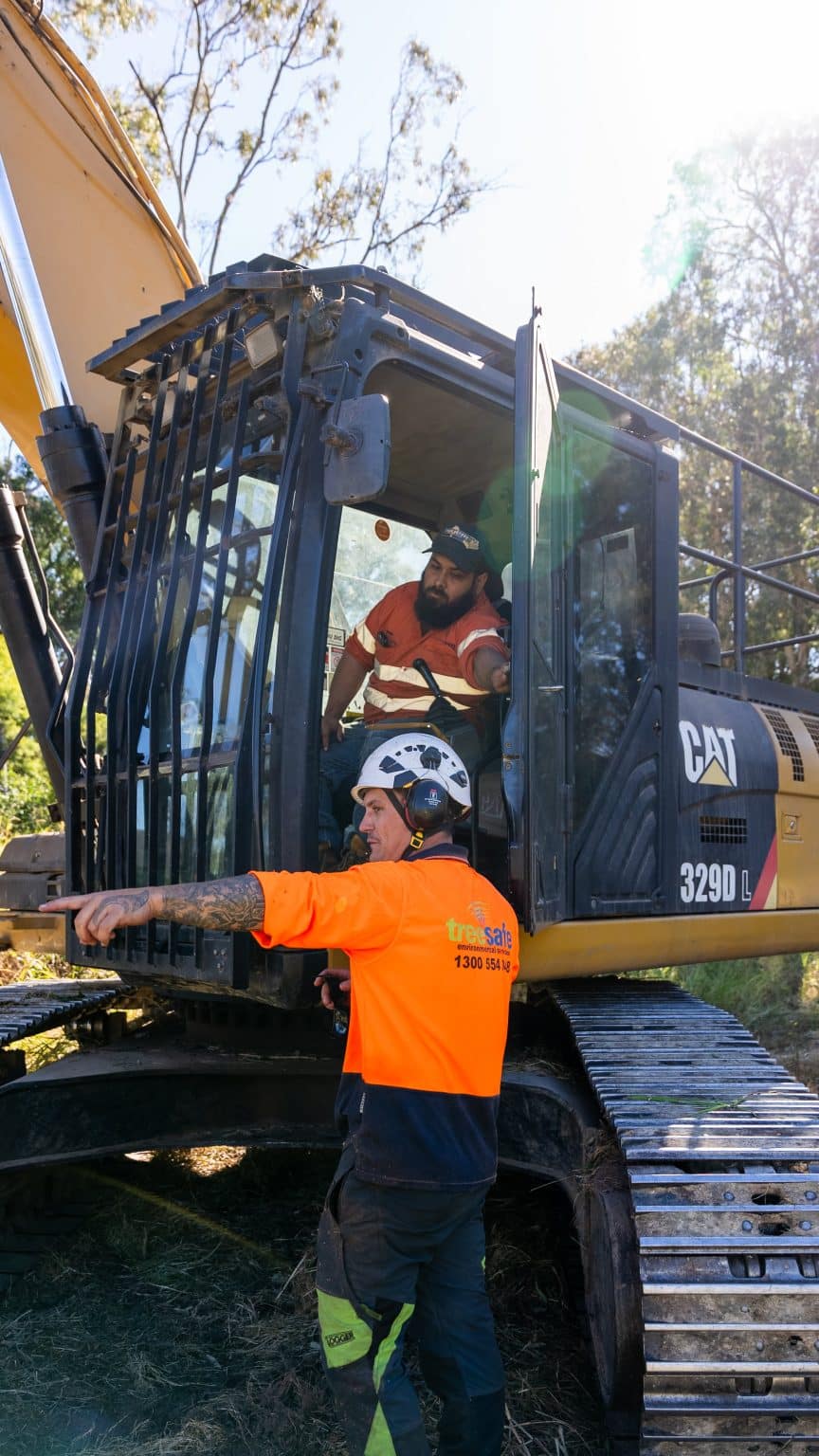 Commercial Arborists Brisbane – Treesafe Environmental Services