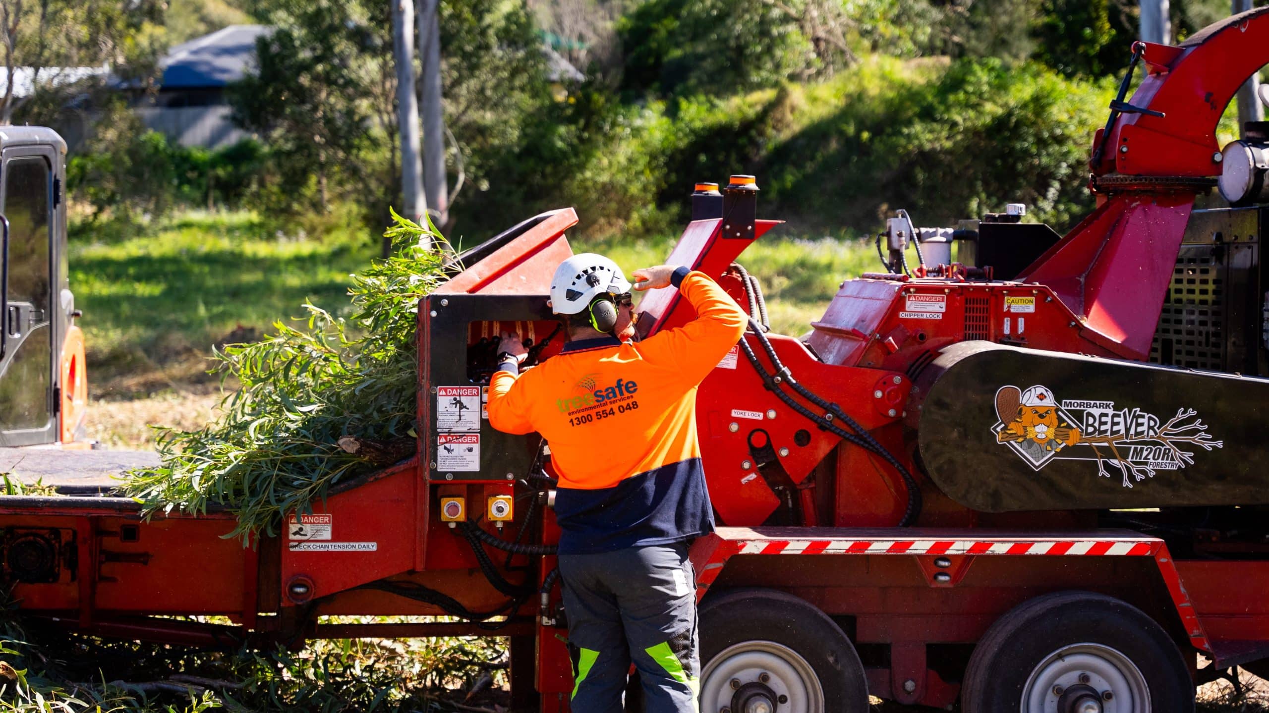 Arborist Brisbane Southside