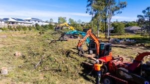 Tree Removal Brisbane Southside – Treesafe Environmental Services