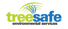 Tree Pruning Gold Coast – Treesafe Environmental Services