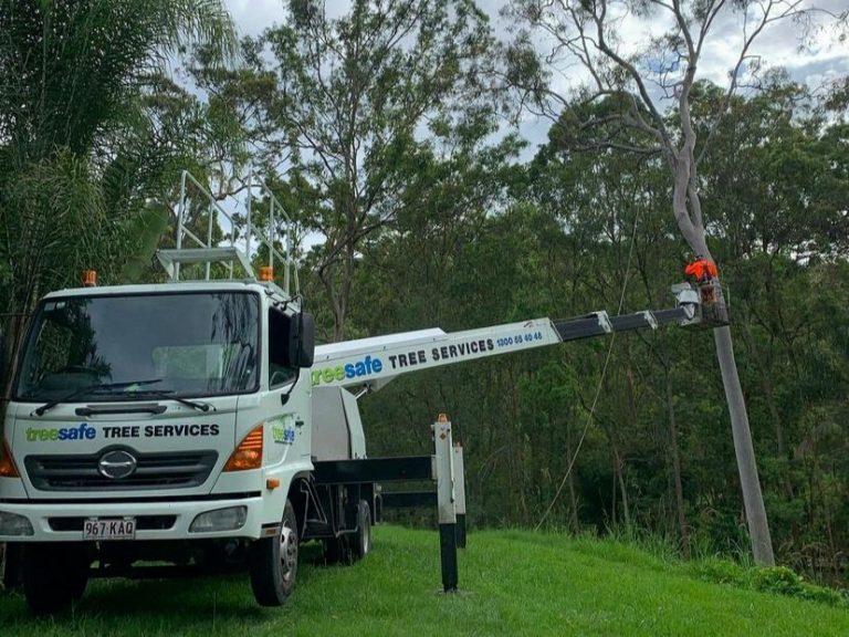 Storm Season Preparation Gold Coast | Treesafe Environmental Services