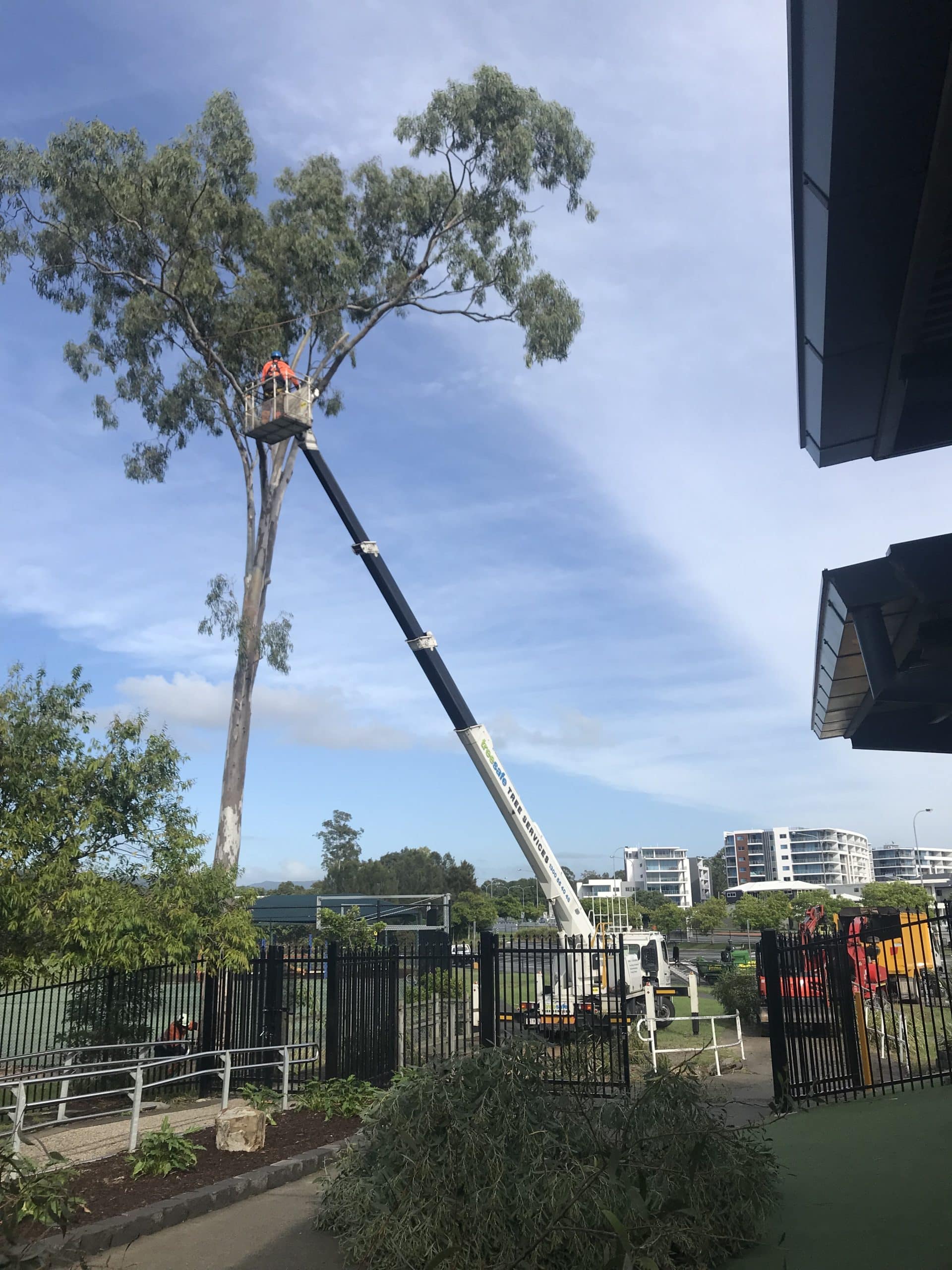 Civil and Infrastructure Tree Clearing