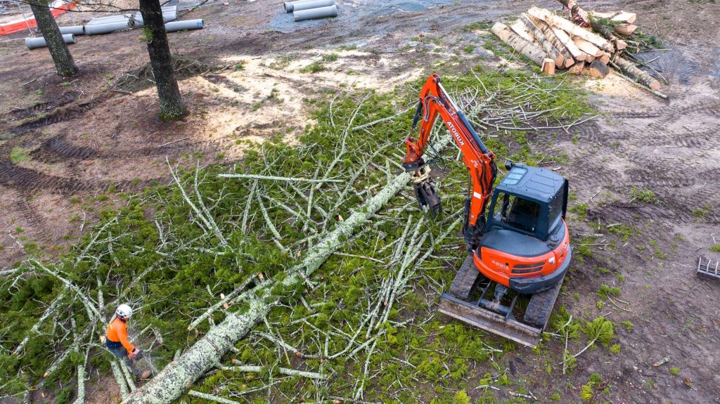 Professional-Land-Clearing-Gold-Coast