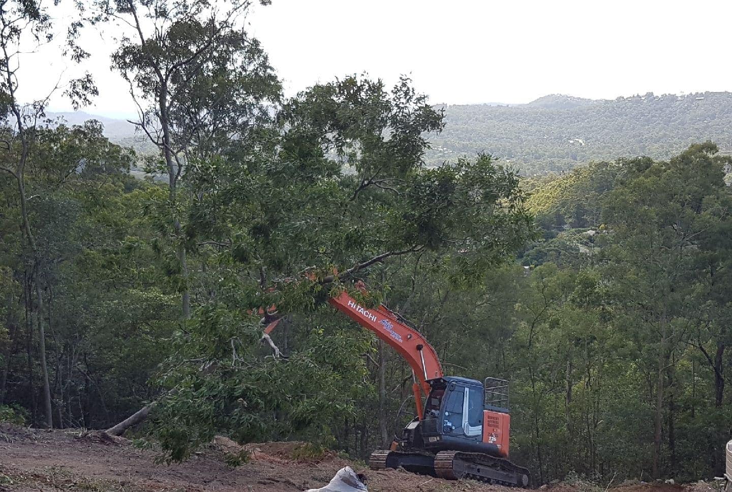 Land-Clearing-Jimboomba-Experts-2