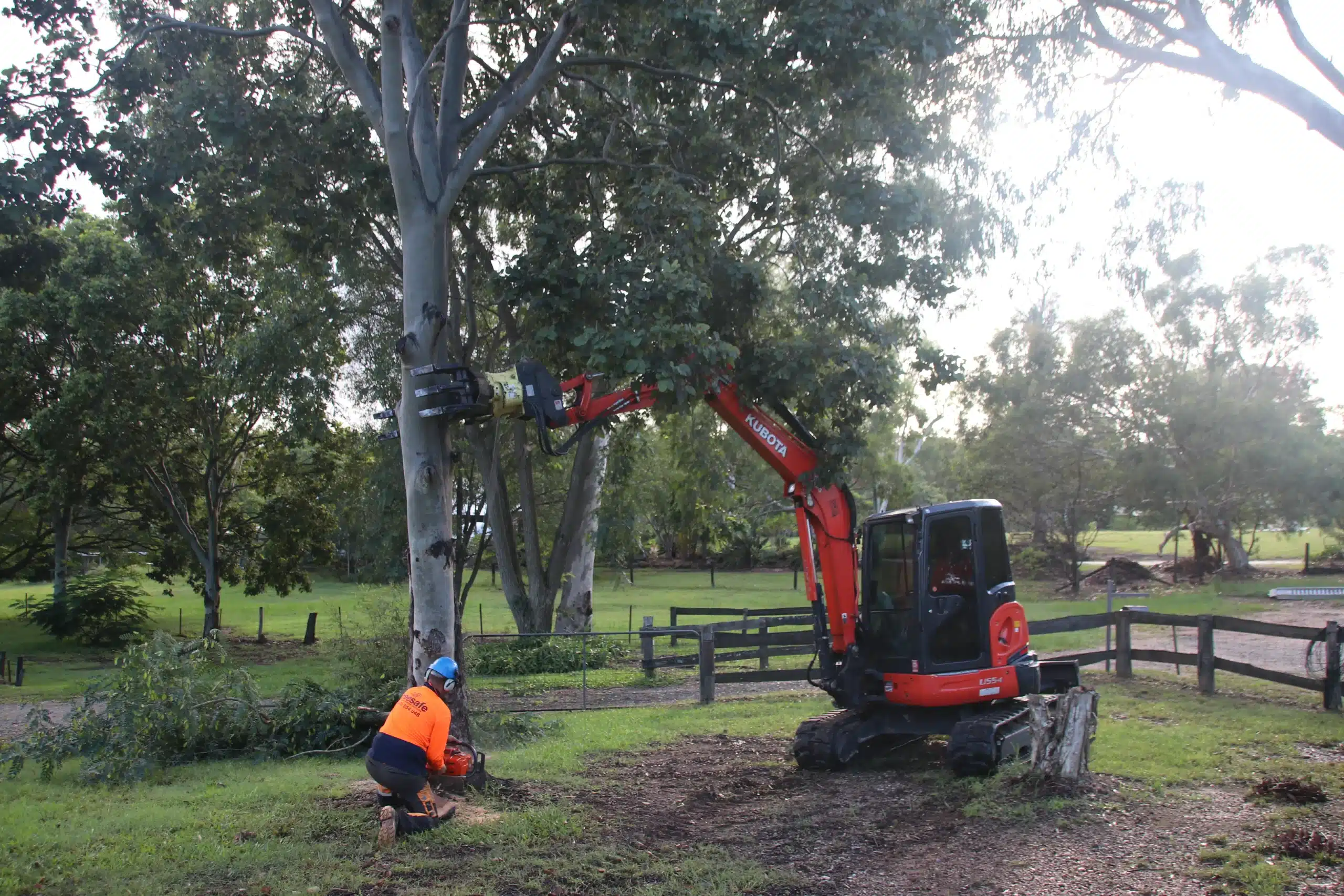 arborist-gold-coast-using-specialist-elevated-equipment-to-work-on-large-trees