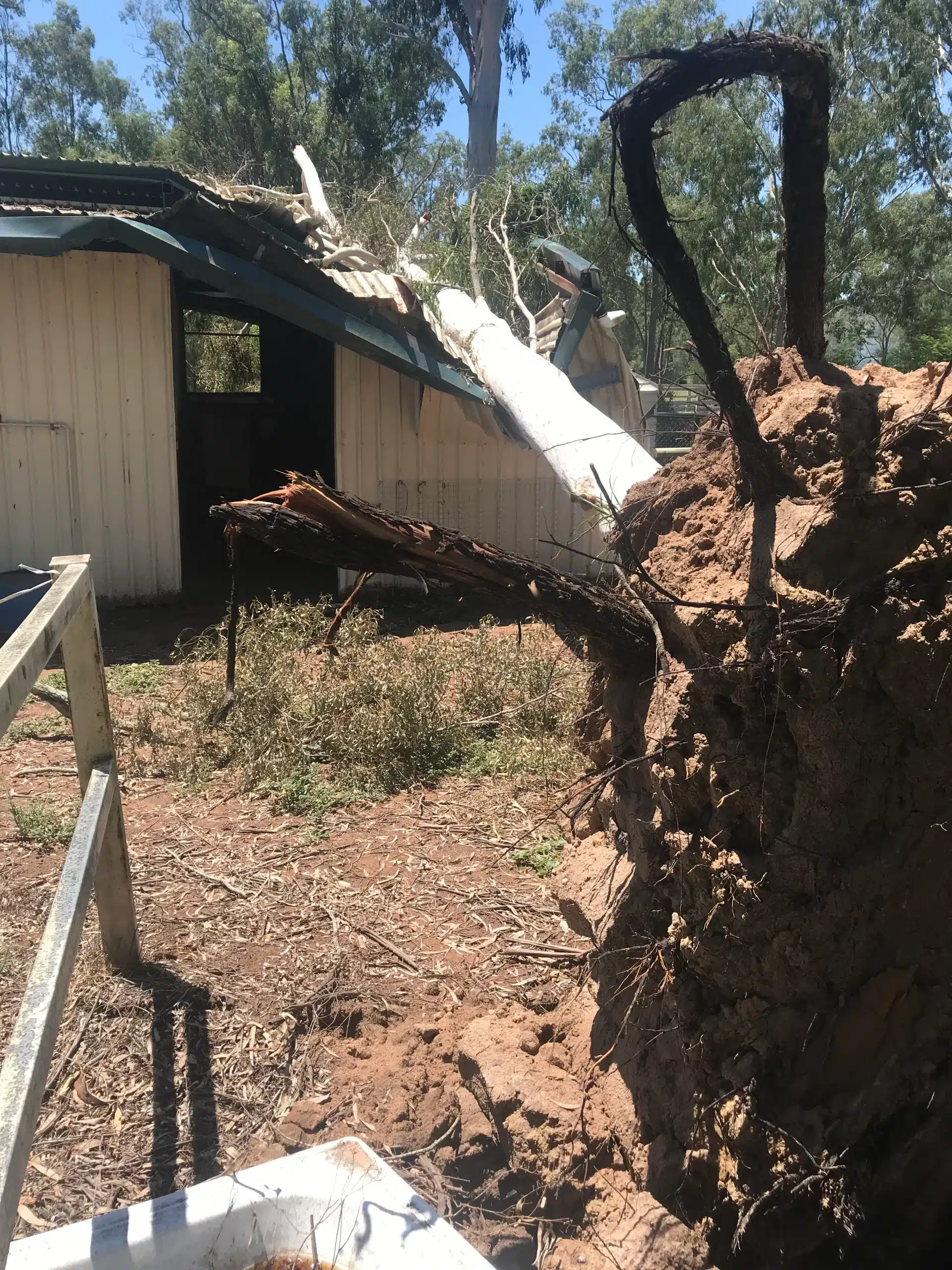fallen-tree-causing-damage-to-a-building-in-brisbane-southside