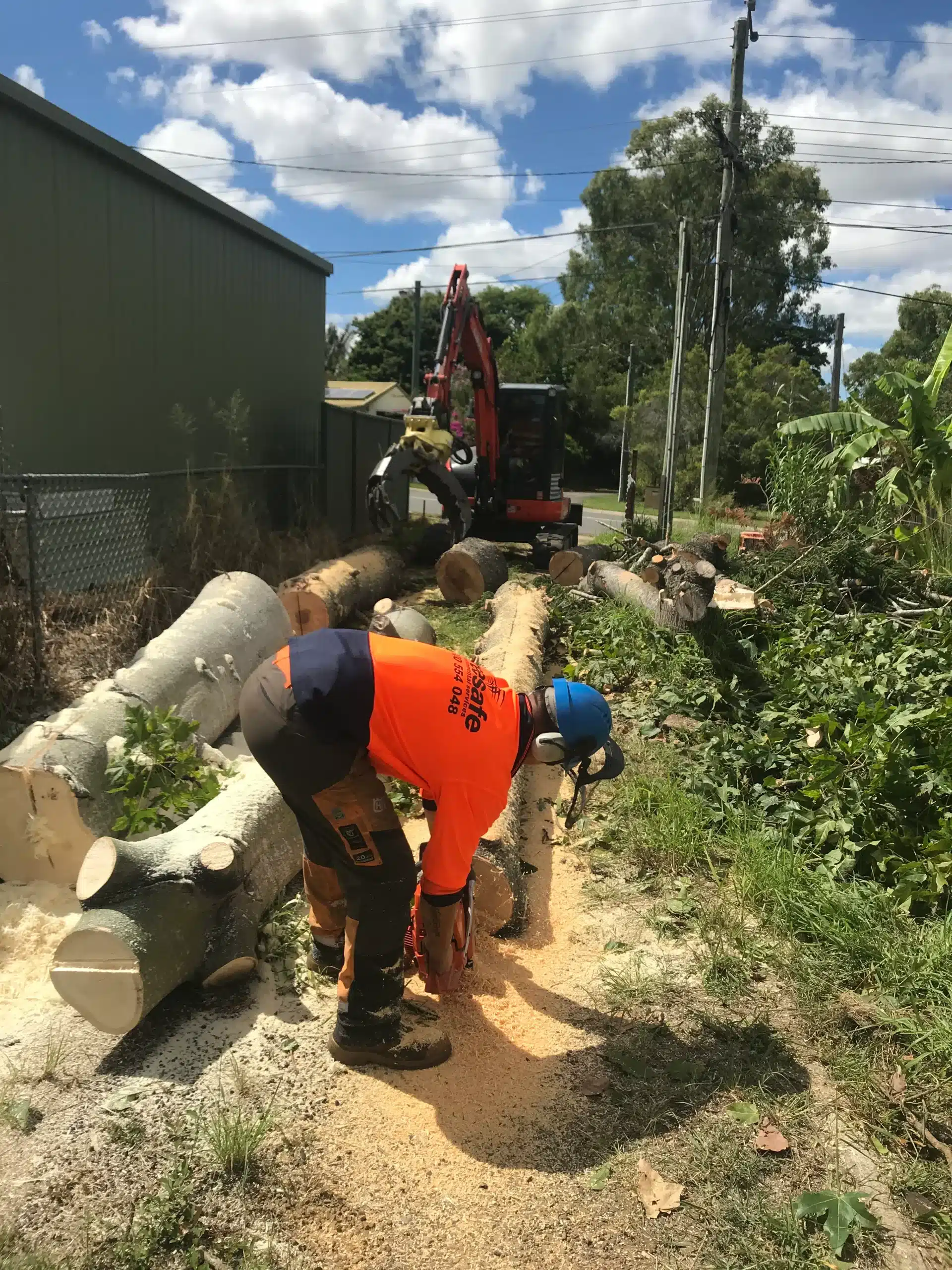 large-tree-removal-brisbane-southside-with-arborist-and-excavator