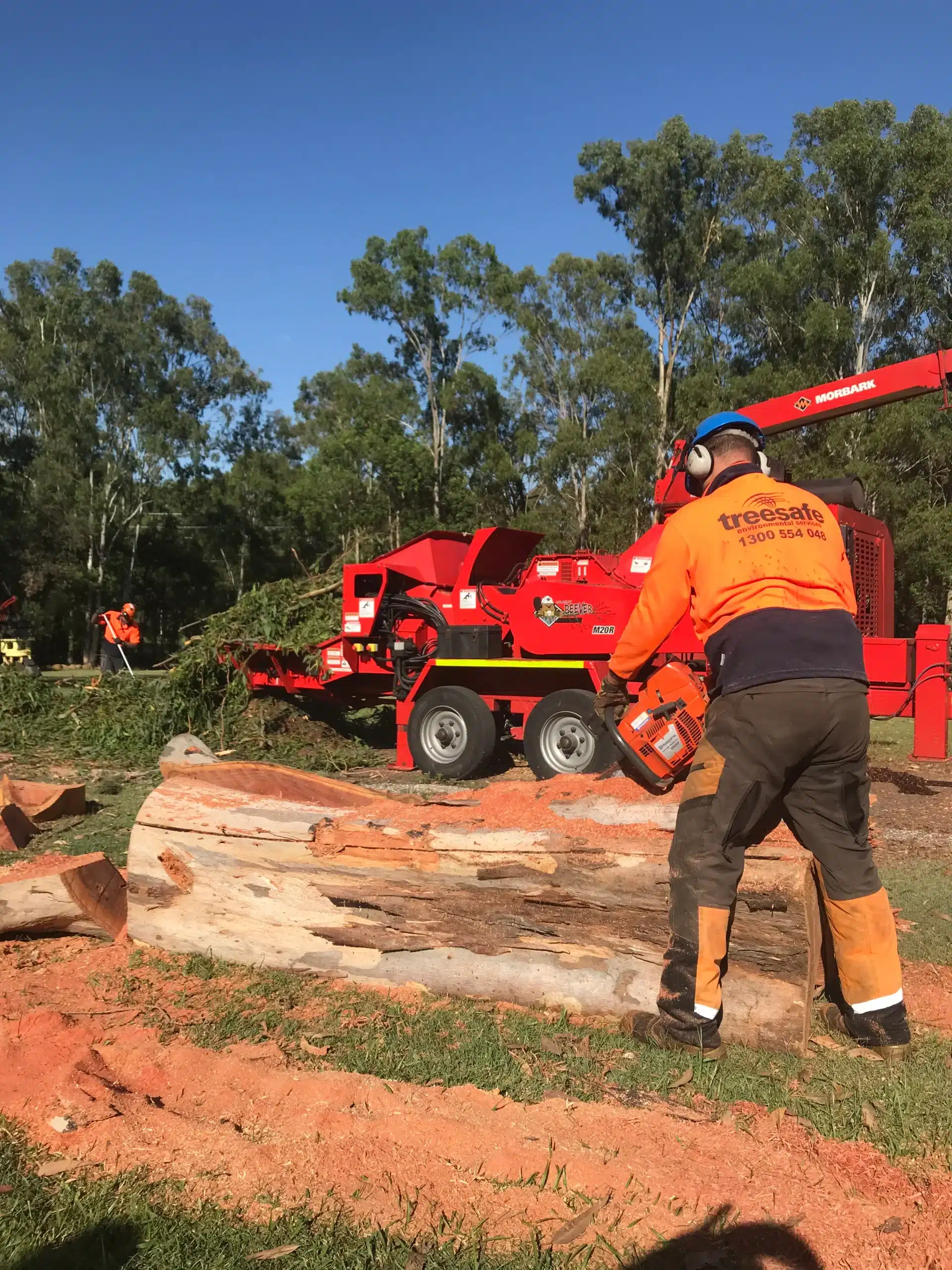 tree-removal-gold-coast-with-arborist-processing-timber-and-wood-chipper-on-site