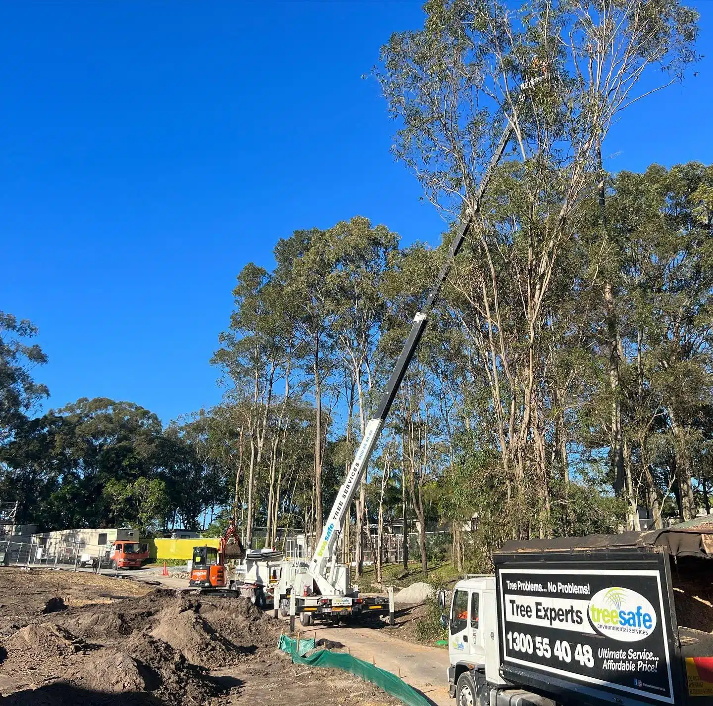 treesafe-elevated-work-platform-carrying-out-commercial-tree-removal-in-brisbane