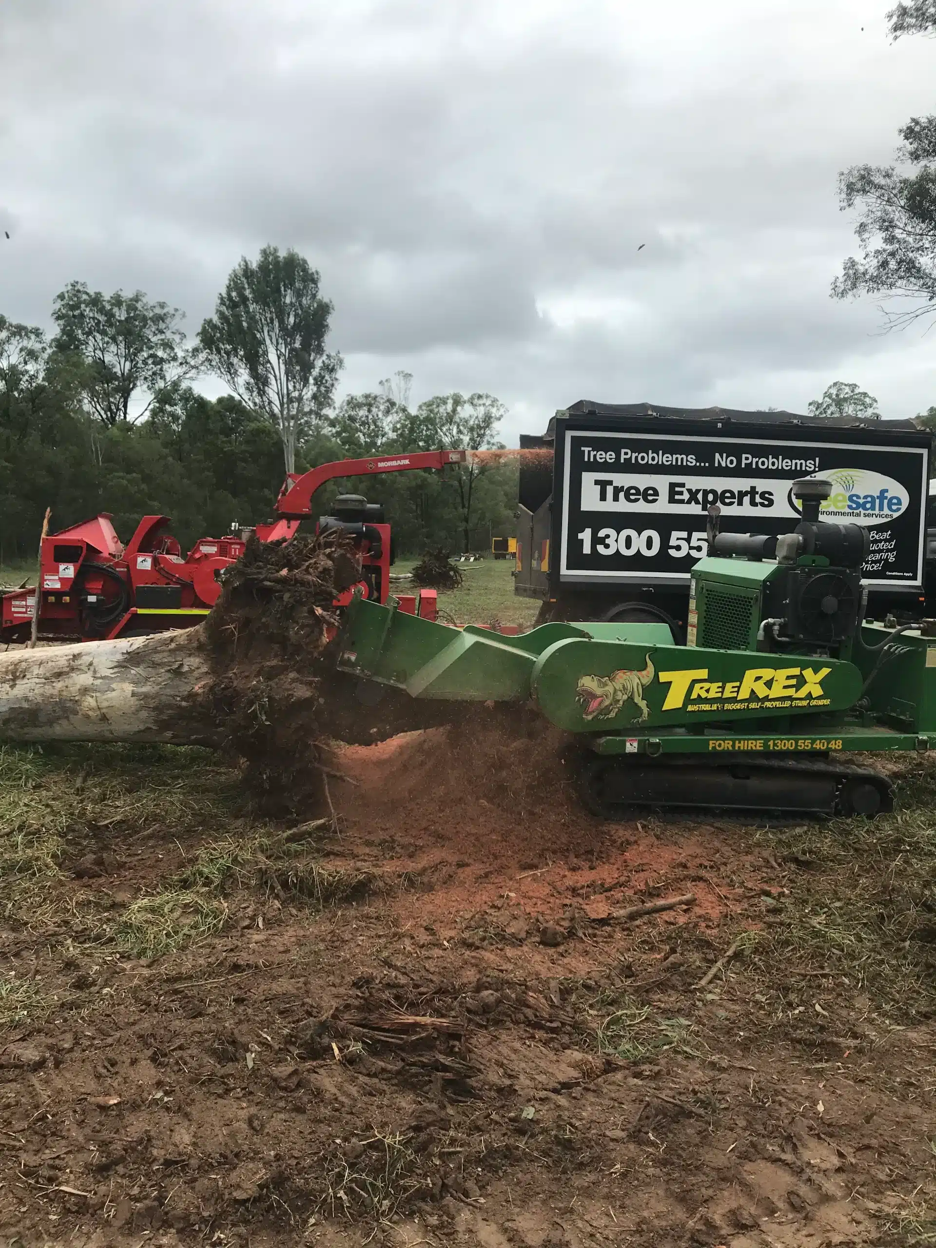 treesafe-stump-grinding-and-tree-debris-removal-in-brisbane-southside