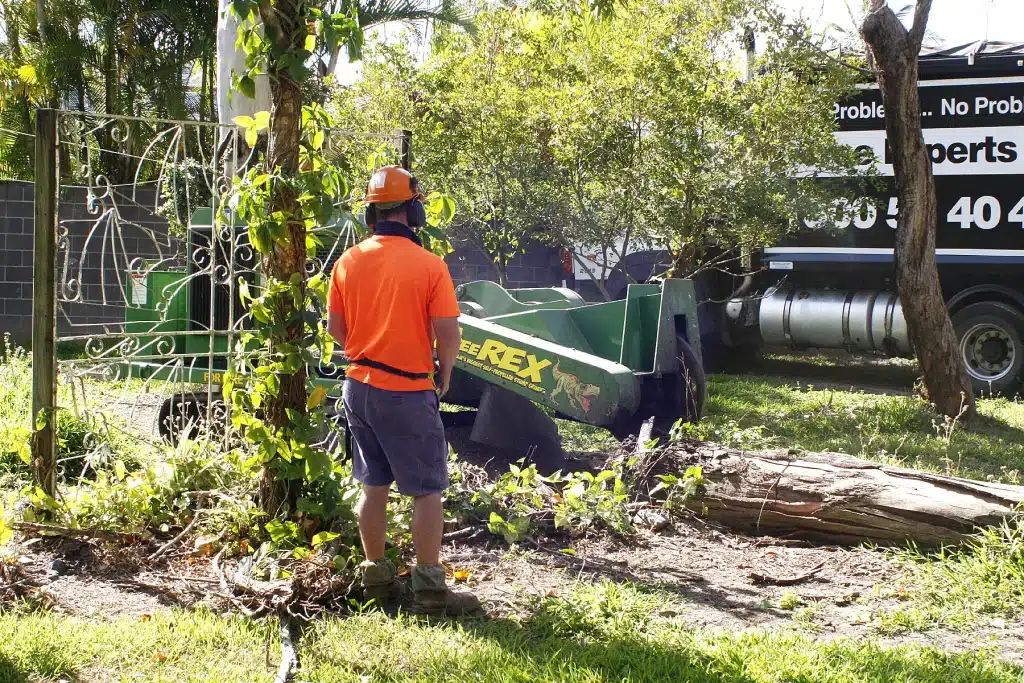 treesafe-stump-grinding-equipment-and-truck-on-a-residential-tree-removal-site