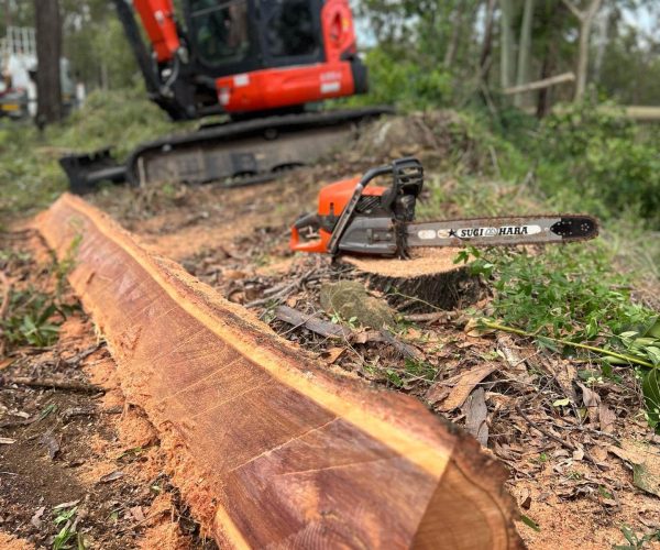 Stump Grinding Brisbane Southside
