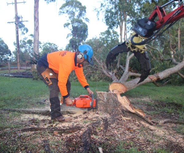 Treesafe Secnic Rim Tree Services