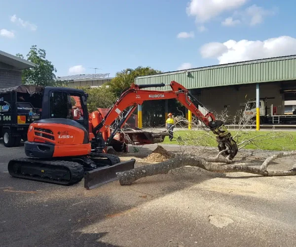 commercial-tree-removal-brisbane-southside-using-excavator-and-specialist-equipm