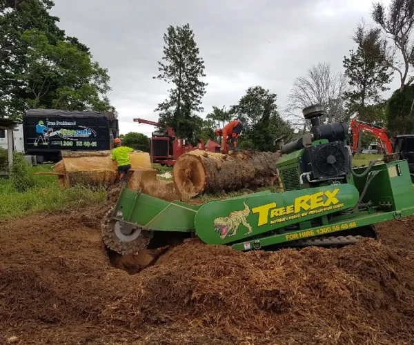 large-stump-grinding-operation-following-tree-removal Jimboomba