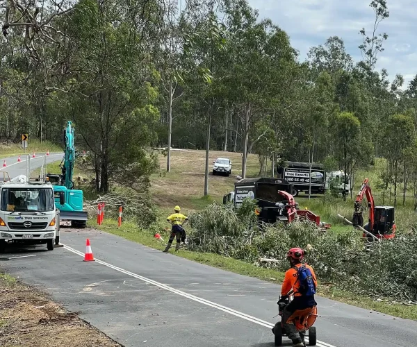 Treesafe crew and excavators carrying out roadside tree clearing