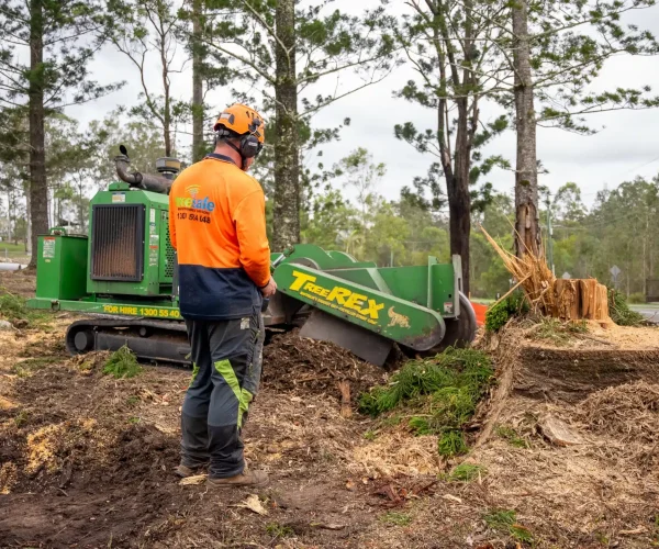 stump-grinding-using-commercial-stump-grinding-equipment